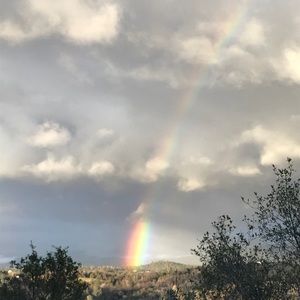 Meet your Posher, Cecilia